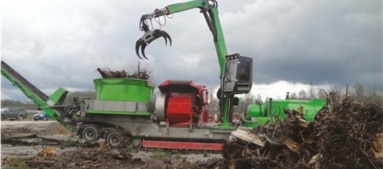 Broyage de souches dans un broyeur à bol, photo CRPF Aquitaine