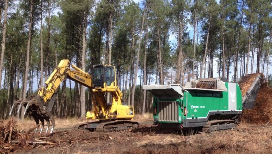 Broyage de souches en forêt avec l'Axtor 6010 de Komptech, photo Loreki