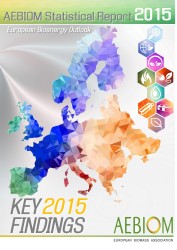 Key 2015 Findings