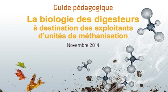 Biologie des digesteurs