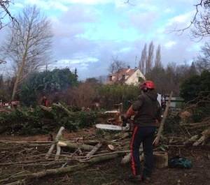 Bois Bûche 78 valorise le bois d'élagage en bois de chauffage