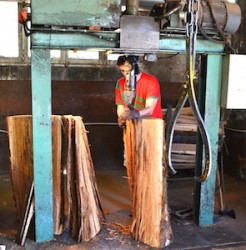 La production de merrains à la scierie de Miremont, photo Frédéric Douard