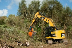 Exploitation de bois-énergie par la FCBL