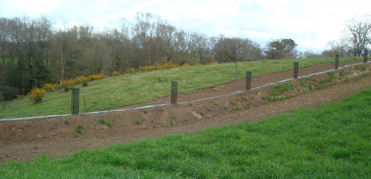 Talutage et plantation de haie à St-Laurent-de-Terregatte dans la Manche, photo FD CUMA de BN