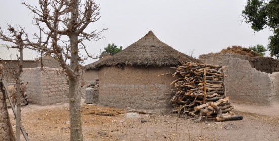 Bois-énergie contre une case au Mali, photo Gérès