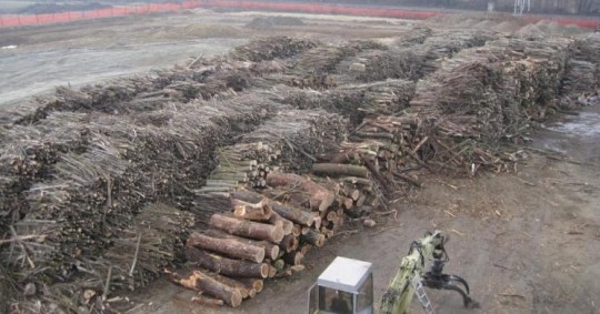 Stock de biomasse pour la centrale de Sospiro