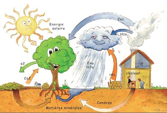 Cycle du carbone et bois-énergie, Urwana Leduc, ITEBE