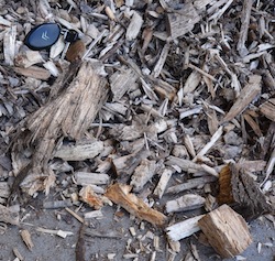 La chaudière Uniconfort de Sospiro accepte des bois de calibre P100, photo Frédéric Douard