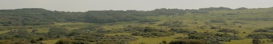 Zone naturelle du Cap Blanc Nez à débroussailler, photo EDEN 62