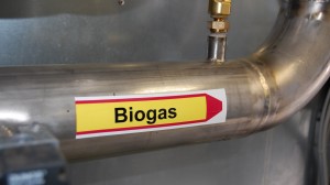 Conduite de biogaz à l'unité de méthanisation de Falkenhagen, photo Weltec