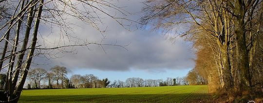 Bocage, photo  de la Chambre D'agriculture de Mayenne