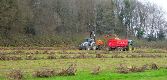 Chantier de récolte de bois-énergie sur un vergers en basses tiges, photo FD CUMA BN