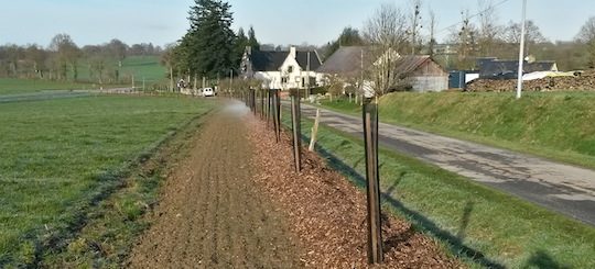 Création d'une haie agricole, photo CBB35