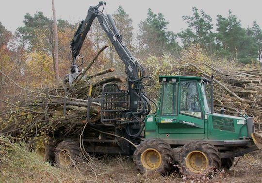 Débardage de menu bois au porteur, photo Frédéric Douard