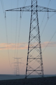 La biomasse constitue une base de production régulière d'électricité renouvelable, photo Frédéric Douard