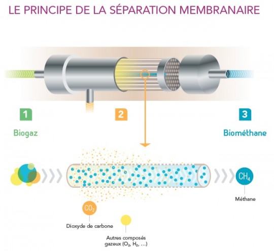 La séparation membranaire au Pré du Loup, schéma GrDF