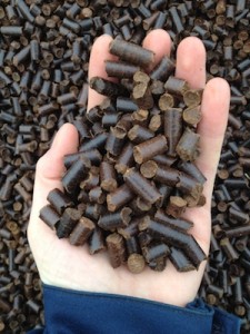 Granulés noirs, photo EDF