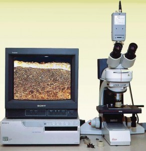 Microscope du laboratoire Biopale, photo Saretco