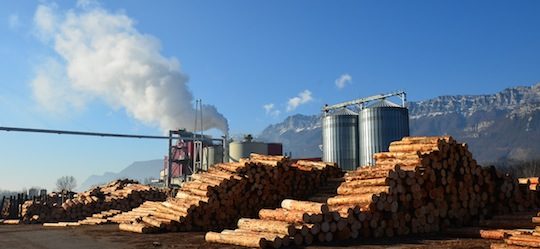 La centrale de cogénération Alpes Energie Bois utilise le Fire Cube depuis 2013, photo F Douard
