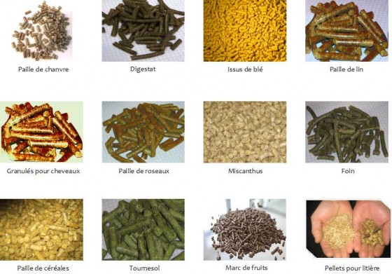 Types d'agro-pellets, photos Energie du Terroir