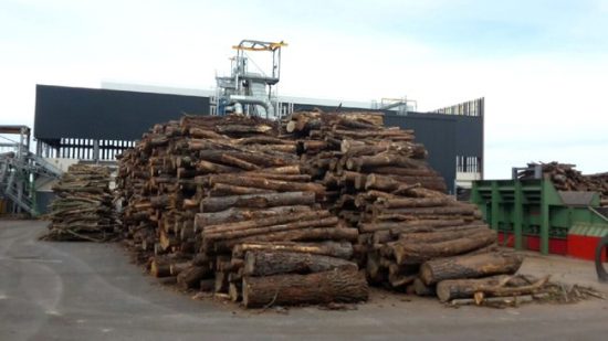 Sylvania, la centrale électrique à bois de Brignoles dans le Var en vidéos