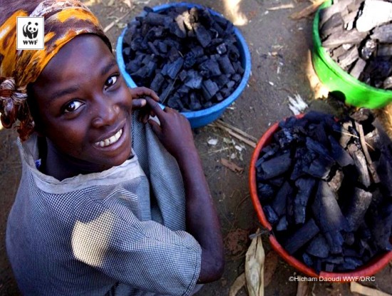 Parc national des Virunga