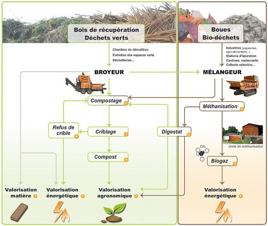 Champ d'activité de Noremat dans le domaine de la valorisation de la biomasse