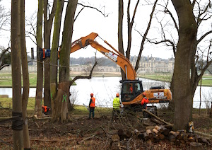 Chantier d'abattage Ramery au domaine du château de Chantilly, photo Ramery