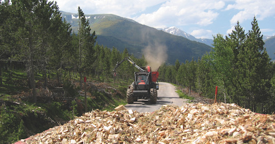 Chantier forestier à Guils, photo Bois Energie 66