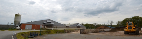 L'élévage de porcs de la SCEA Texier, photo Frédéric Douard