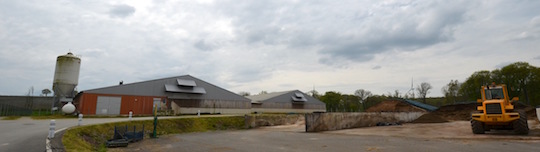 L'élévage de porcs de la SCEA Texier, photo Frédéric Douard