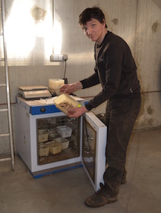 L'étuve de Sylvéo pour les mesures d'humidité, photo Frédéric Douard