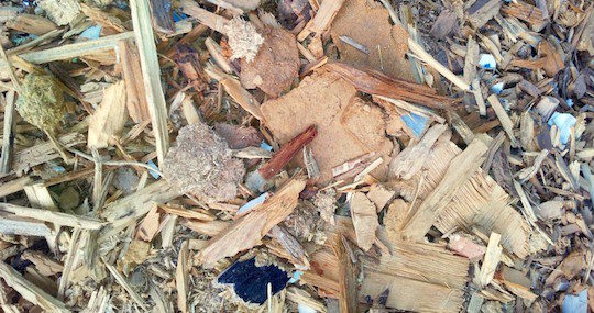 Déchets de bois pouvant être valorisés par gazéification, photo Cogébio