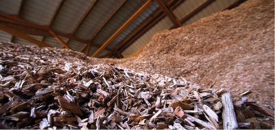 Stockage de plaquettes forestières, photo Abibois