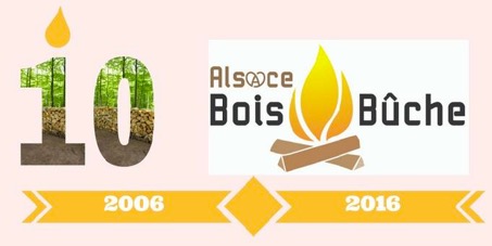 10 ans Alsace Bois Bûches