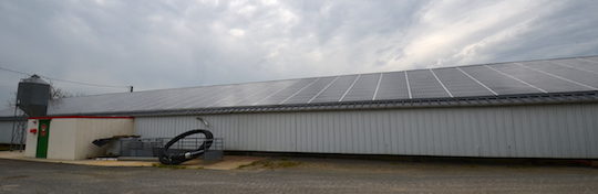 Le bâtiment d'élevage des dindes avec sa toiture photovoltaïque, photo Frédéric Douard