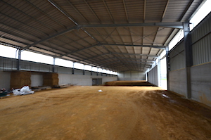 Le bâtiment de 1800 m2 pour le séchage et le stockage durant sa constrcution, photo Frédéric Douard