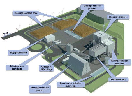 Schéma de la centrale biomasse de l'esplanade