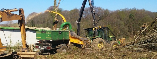 Alliance Forêts Bois Energie