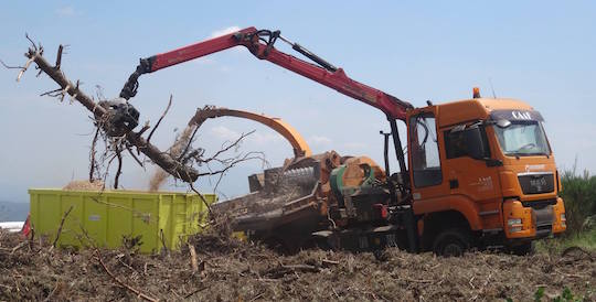 Le Grand Camion Portent Le Bois De Chauffage De Pile Dans Lakatnik