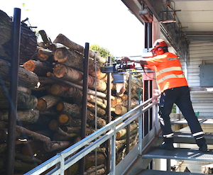 Echantillonnage d'humidité sur un camion de bois rond à la tronçonneuse sur rail, photo Frédéric Douard