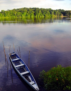 Forêt guyanaise, photo CRE