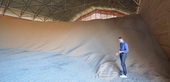 L'un des deux hangars de stockage des granulés, avec au premier plan Michael Fridolfsson de PST, photo Frédéric Douard