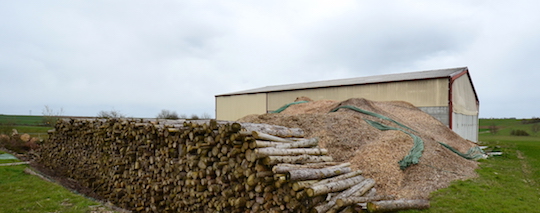 Le hangar de séchage et stockage d'Agribois à Montbrehain, photo Frédéric Douard