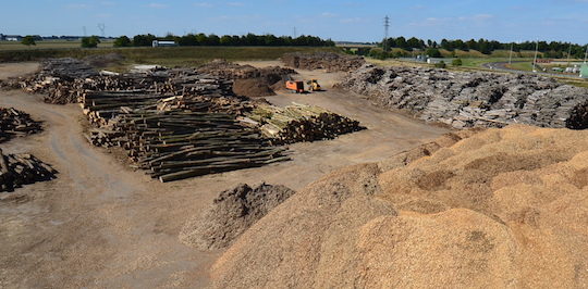 Le parc à bois de la plateforme biomasse de Nesle peut acceuillir 400 000 tonnes de bois, photo Frédéric Douard