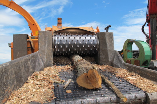 Le tapis d'alimentation, photo Chayriguès
