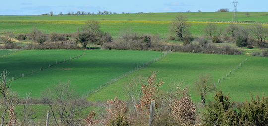 Parcelle avec une toute jeune plantation agroforestière à Flavin en Aveyron, photo Frédéric Douard