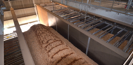 Travées du silo de Kogeban, équipées des herses de manutention VECOPLAN montées sur ponts roulants, photo Frédéric Douard