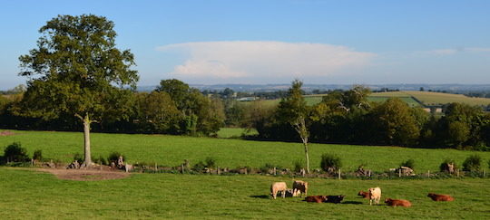 Bocage près de Gacé, photo Frédéric Douard