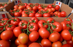 La production de l'EARL Saint-Nicolas, photo Frédéric Douard